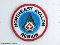 Northeast Avalon Region [NL N03a]